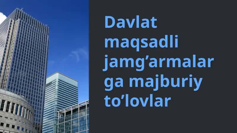 Davlat maqsadli jamg'armalarga majburiy to'lovlar 1