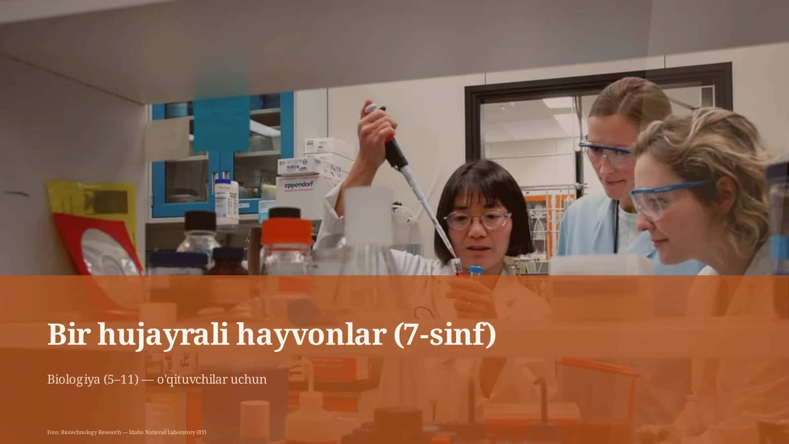 Bir hujayrali hayvonlar (7-sinf) 1