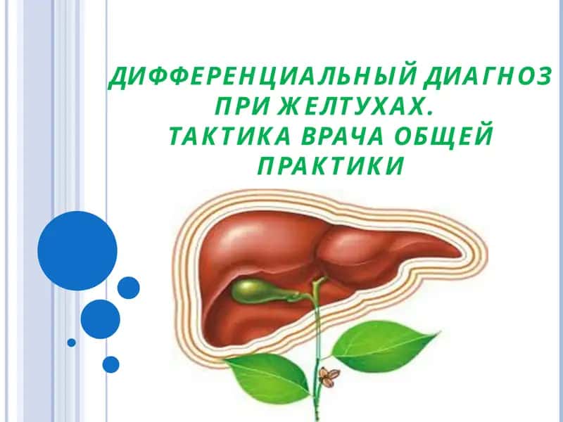 Дифференциальный диагноз при желтухах. Тактика врача общей практики 1