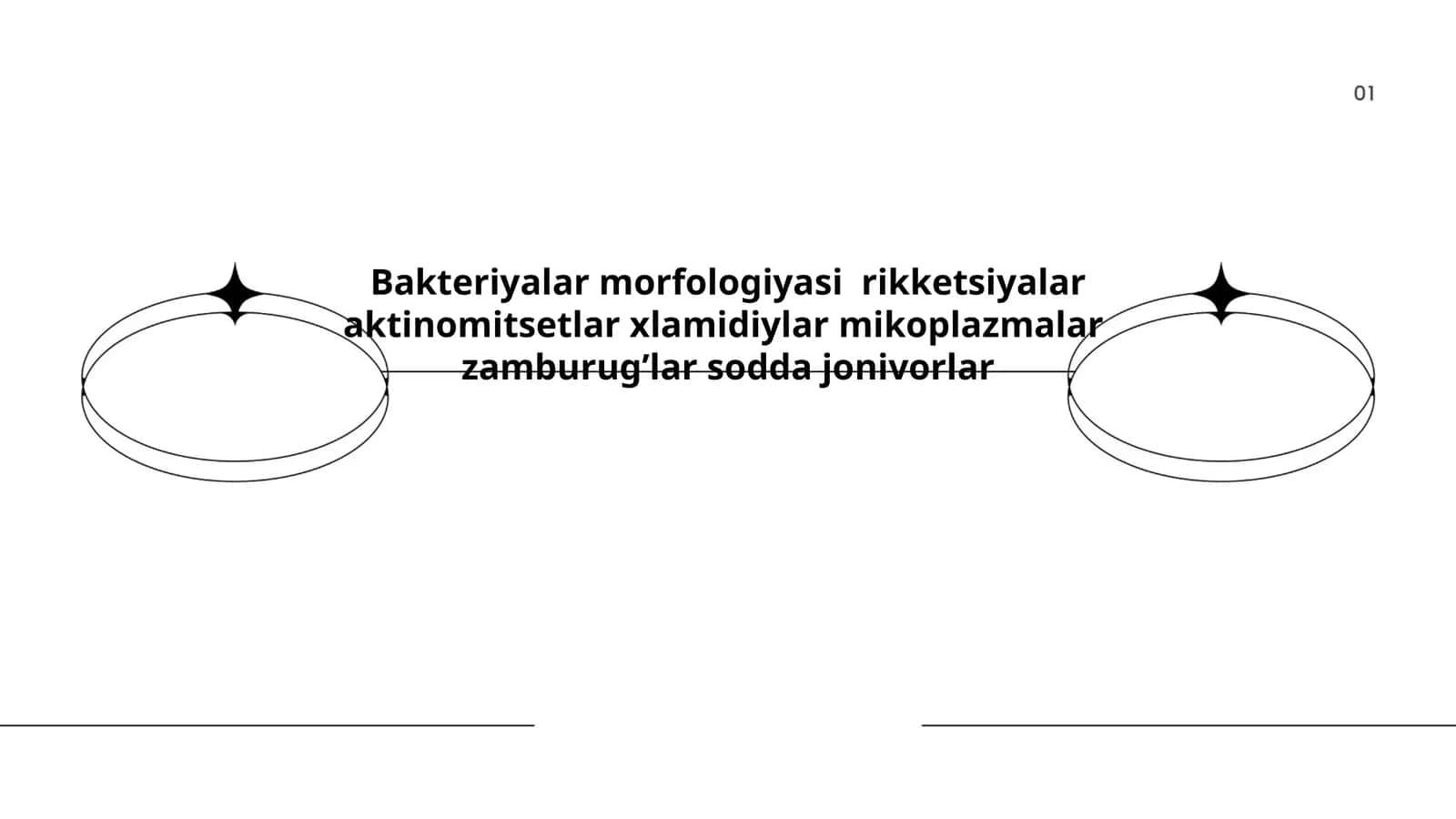 Bakteriyalar morfologiyasi 1