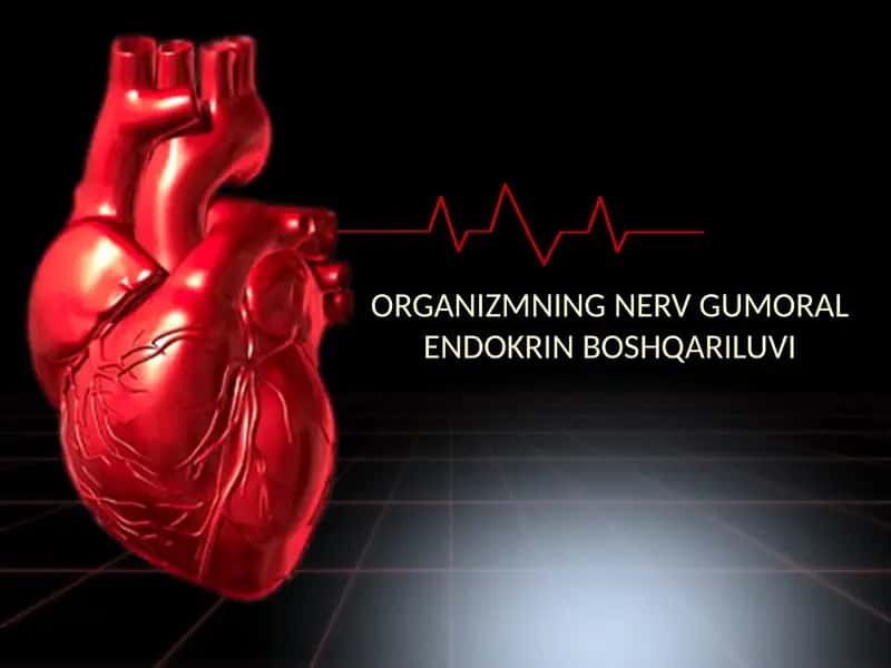 ORGANIZMNING NERV GUMORAL ENDOKRIN BOSHQARILUVI 1