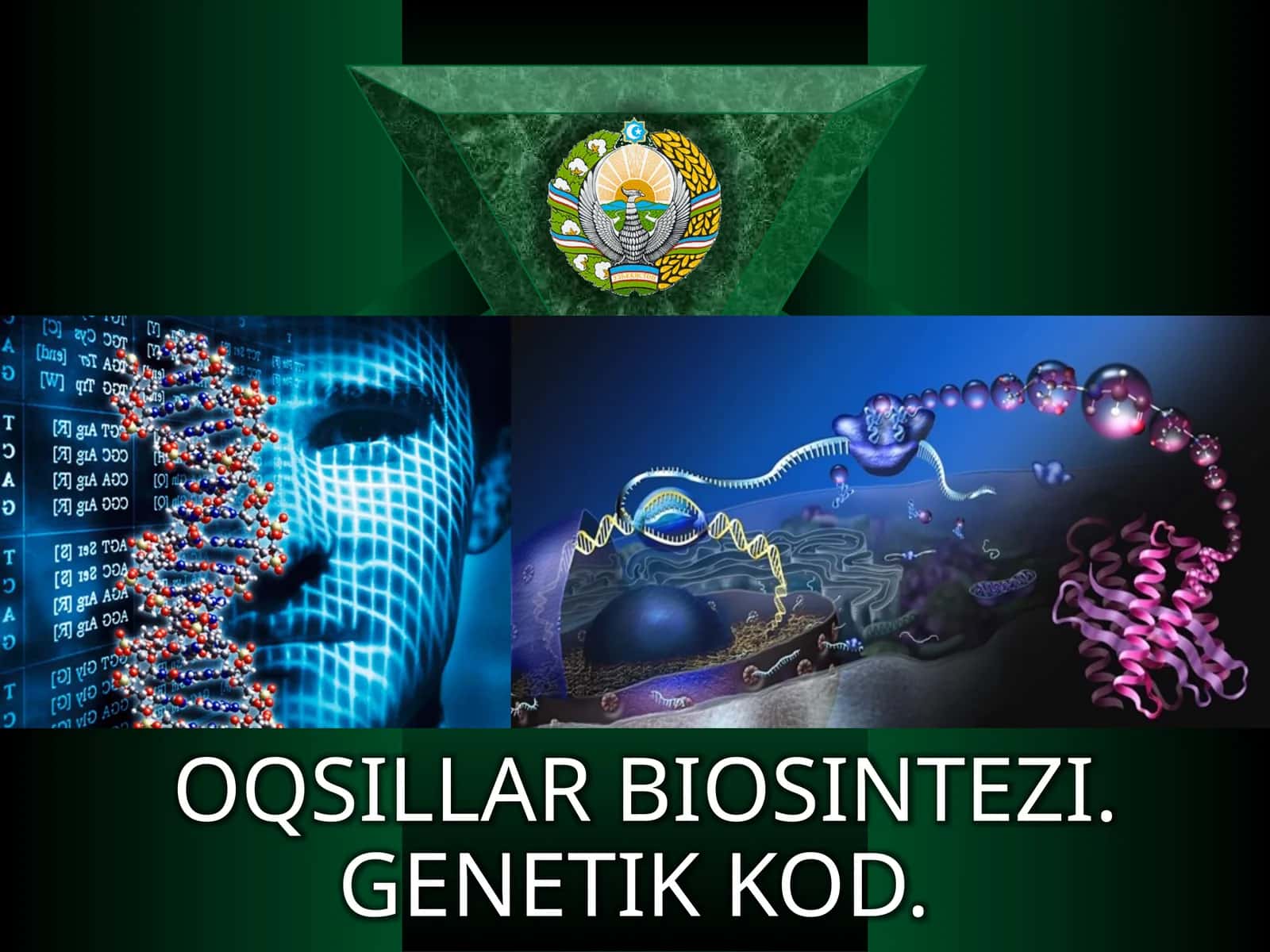 Oqsillarbiosintezi mavzusi boyicha qo'llanma 1