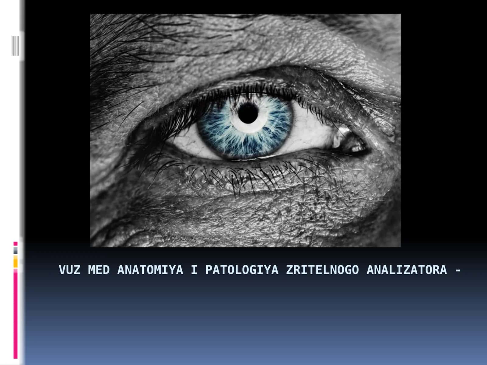 Ko'rish analizatori anatomiyasi va patologiyasi 1