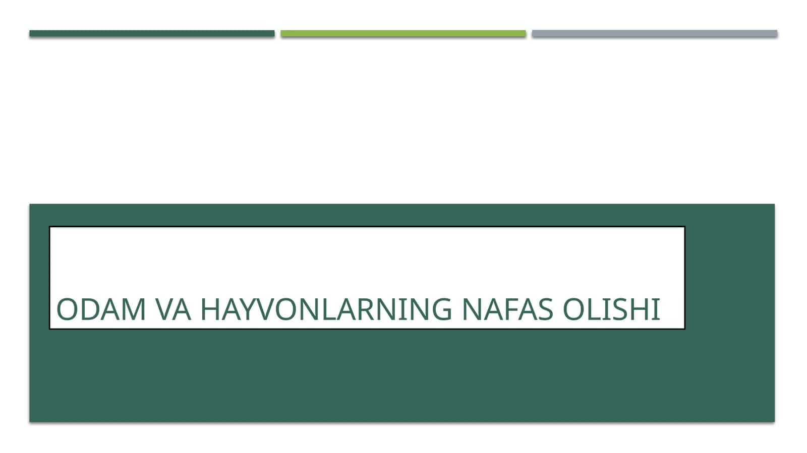 ODAM VA HAYVONLARNING NAFAS OLISHI 1