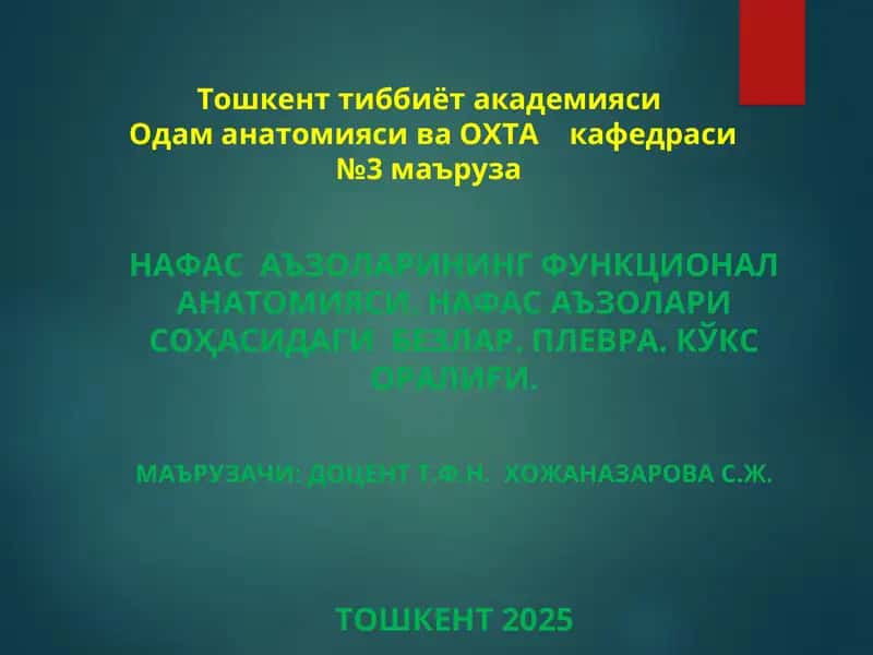 НАФАС АЪЗОЛАРИНИНГ ФУНКЦИОНАЛ АНАТОМИЯСИ 1