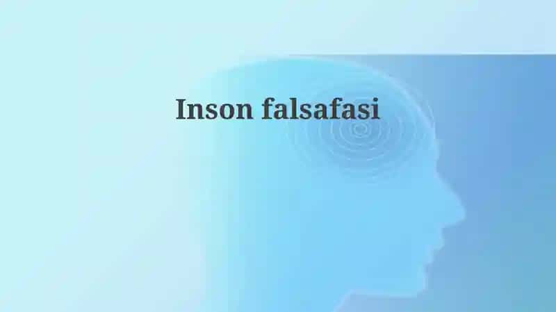 Insonfalsafasi