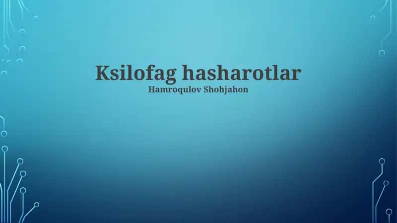 Ksilofag hasharotlar 1
