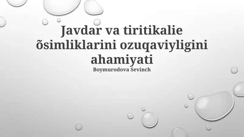 Javdar va Tiritikalie oziqlanishi 1