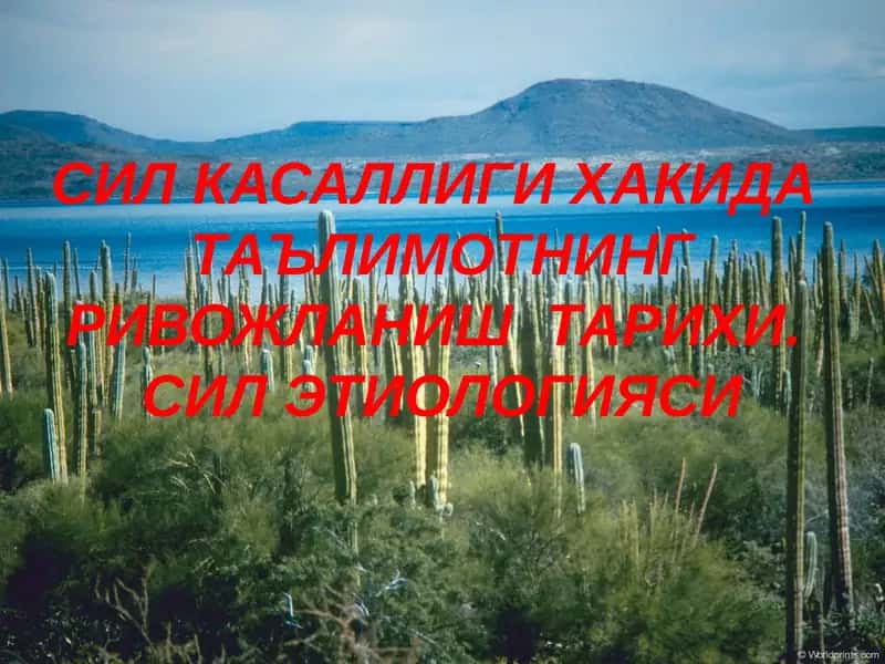 СИЛ КАСАЛЛИГИ ХАКИДА  ТАЪЛИМОТНИНГ РИВОЖЛАНИШ  ТАРИХИ. СИЛ ЭТИОЛОГИЯСИ