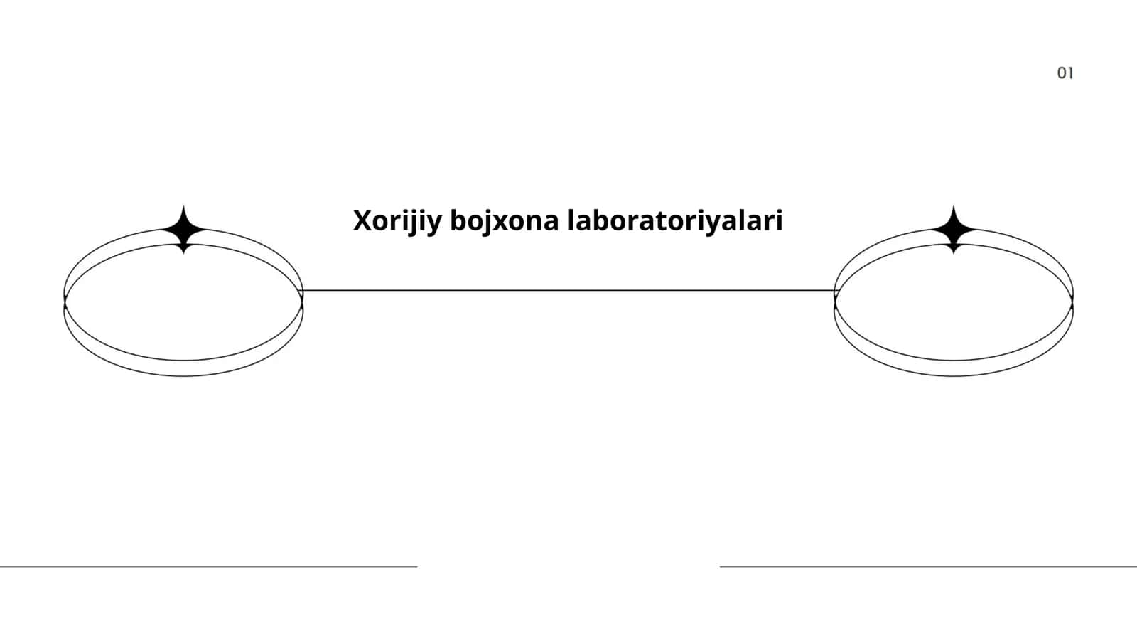 Xorijiy bojxona laboratoriyalari 1