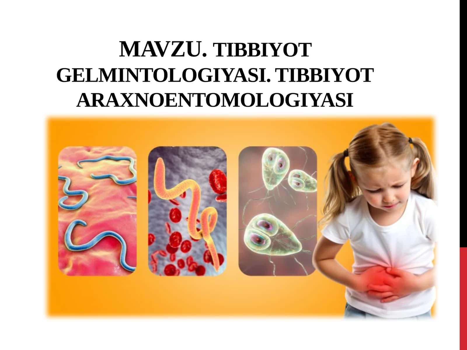 TIBBIYOT GELMINTOLOGIYASI. TIBBIYOT ARAXNOENTOMOLOGIYASI 1