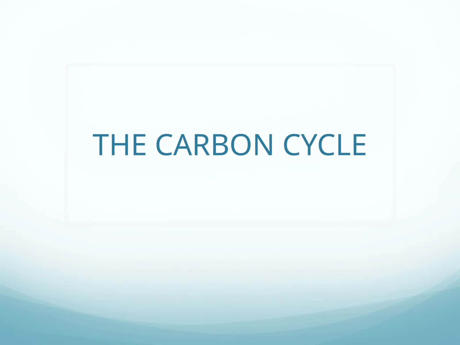 The Carbon Cycle 1