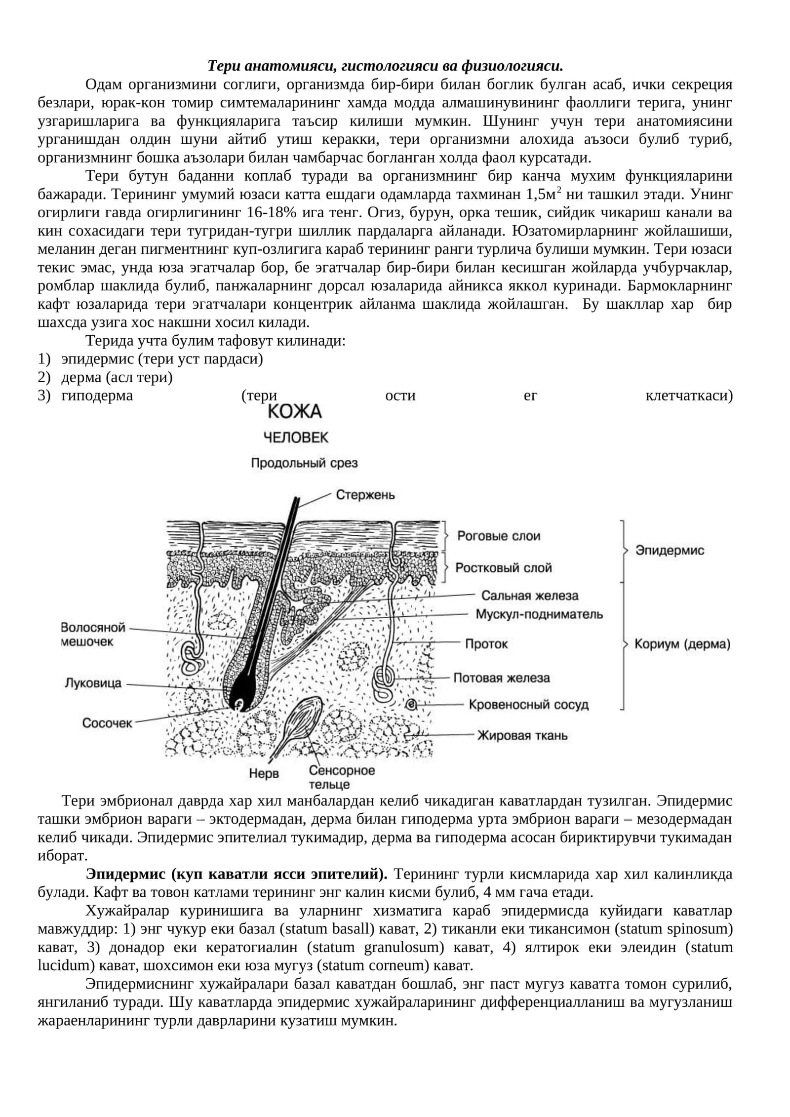 Тери анатомияси, гистологияси ва физиологияси 1