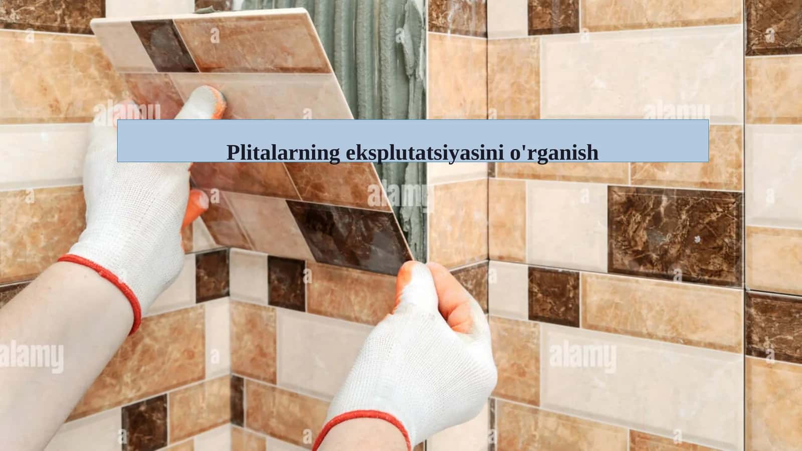 Plitalarning eksplutatsiyasini o'rganish 1