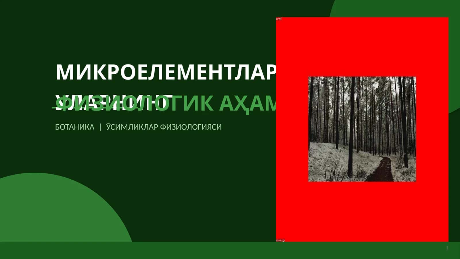 МИКРОEЛEМEНТЛАР ВА УЛАРНИНГ ФИЗИОЛОГИК АҲАМИЯТИ 1