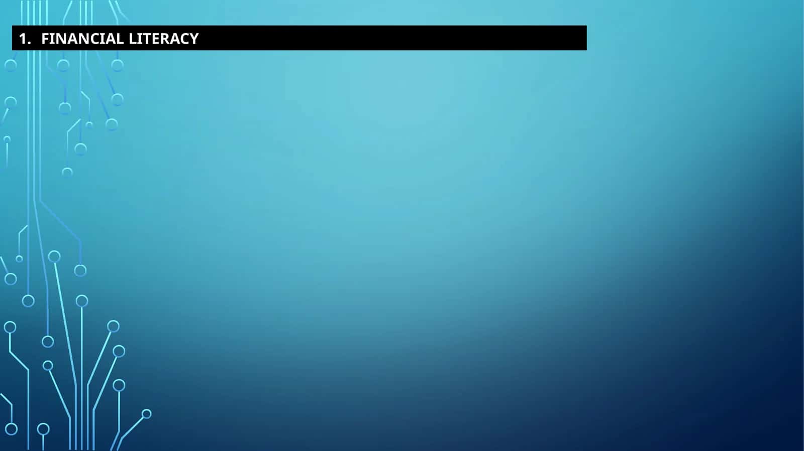 FINANCIALLITERACY 1