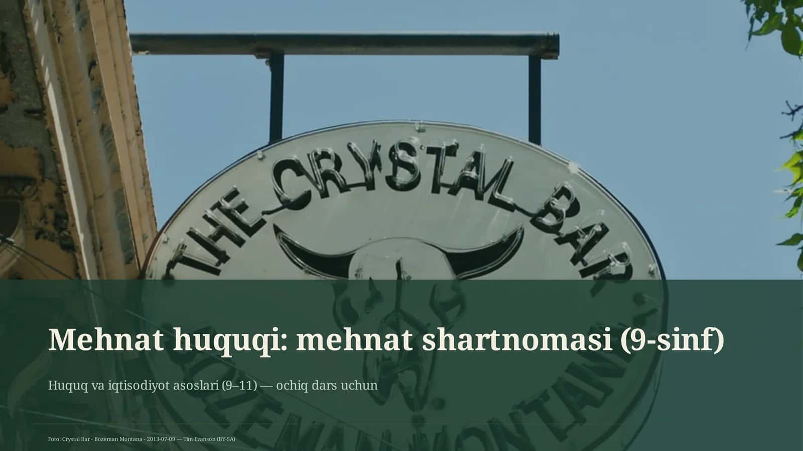 Mehnat huquqi: mehnat shartnomasi (9-sinf) 1