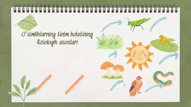 O'simliklarning tinim holatining fiziologik asoslari 1