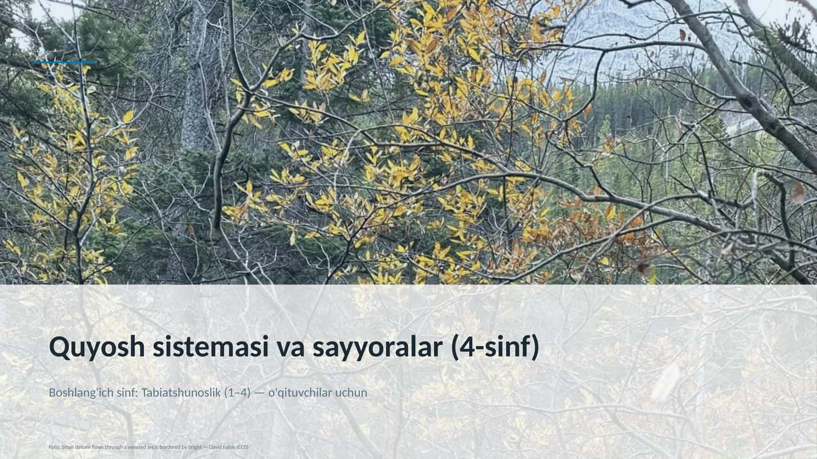 Quyosh sistemasi va sayyoralar (4-sinf) 1