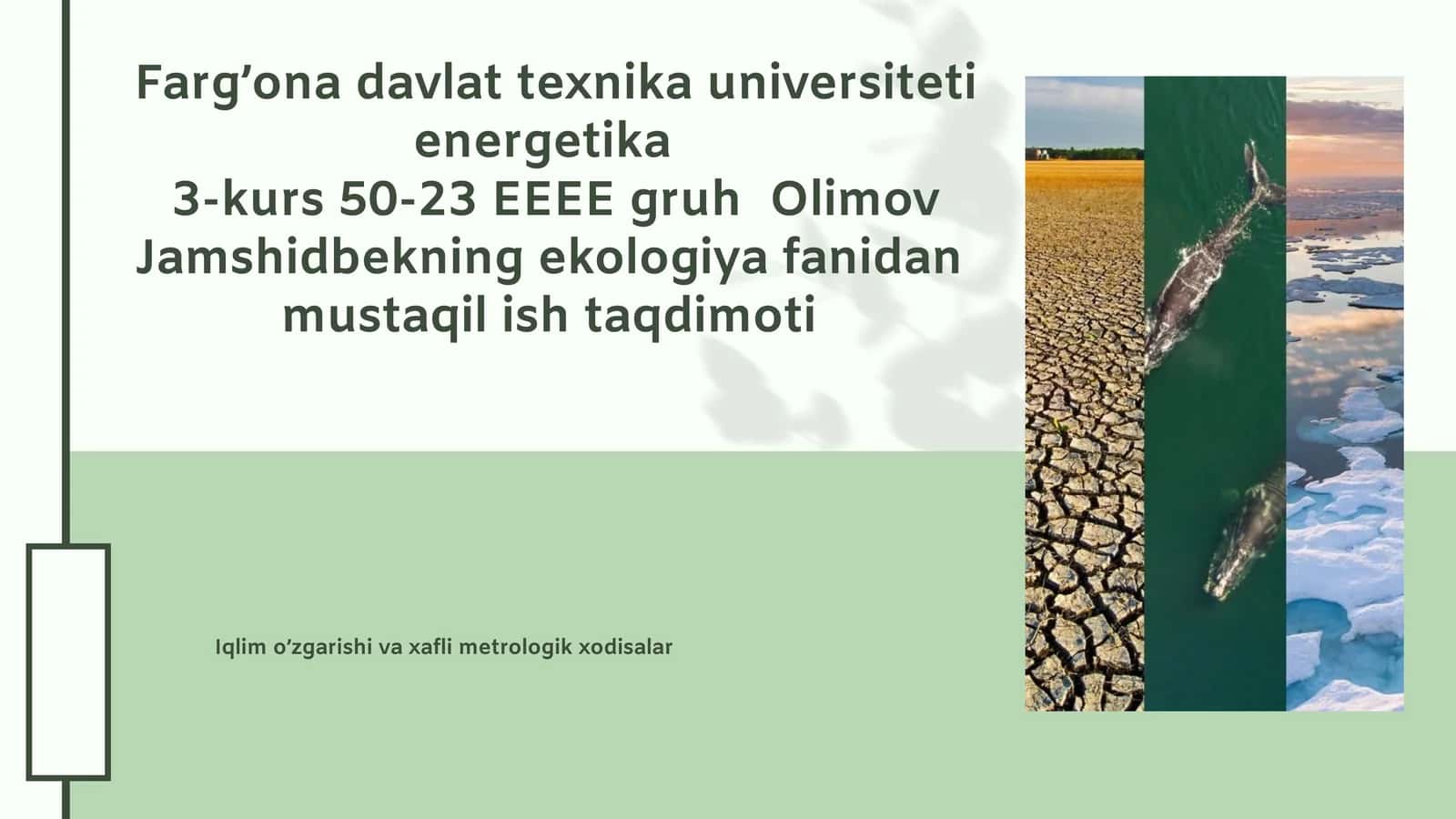 Ekologiya fanidan mustaqil ish taqdimoti 1