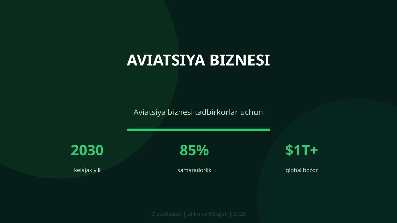 Aviatsiya biznesi 1