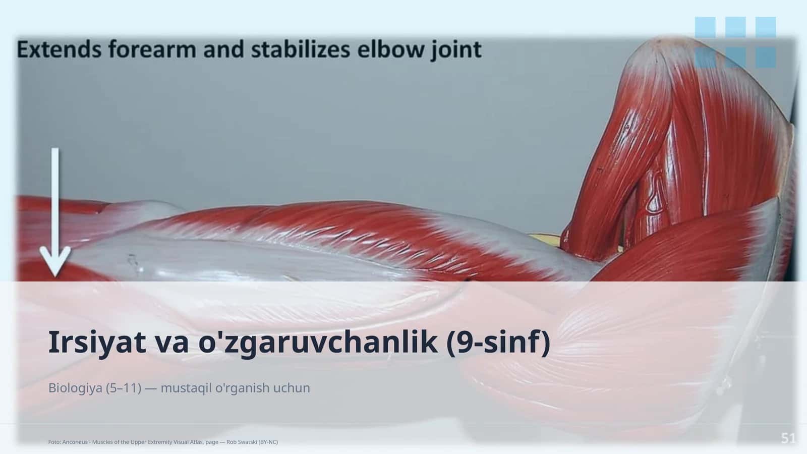 Irsiyat va o'zgaruvchanlik (9-sinf) 1