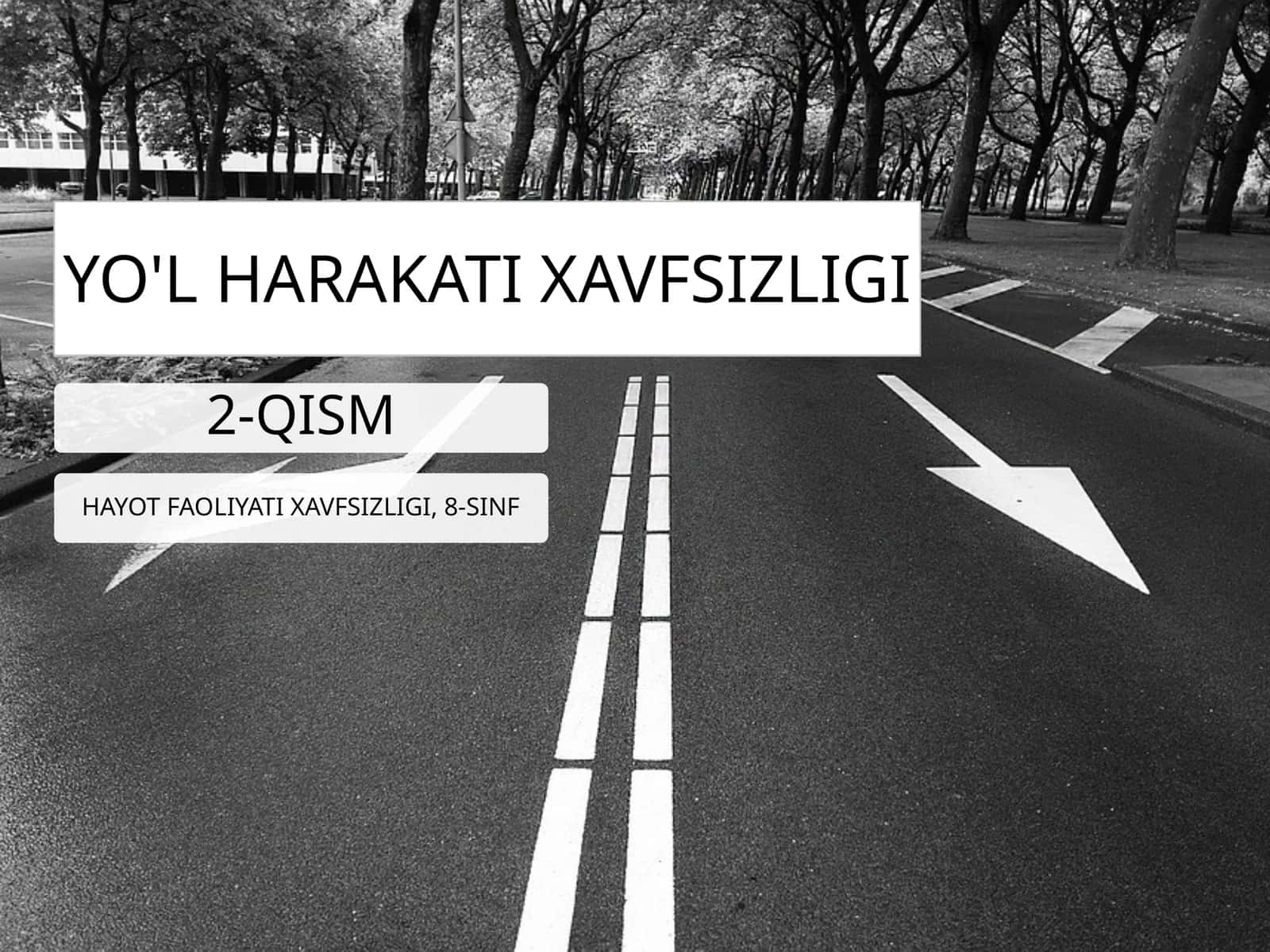 Hayot xavfsizligi - Yo'l harakati xavfsizligi (2-qism) 1