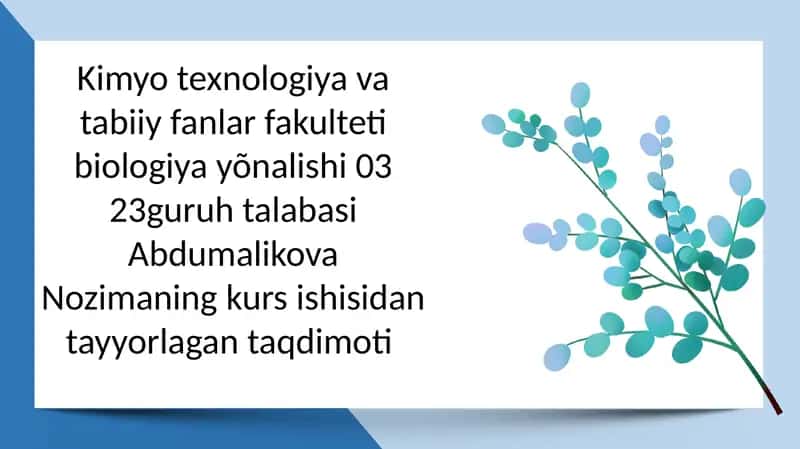 O‘zbekistonda tarqalgan suv qushlari, ularning tuzilishi va hayot kechirishi 1