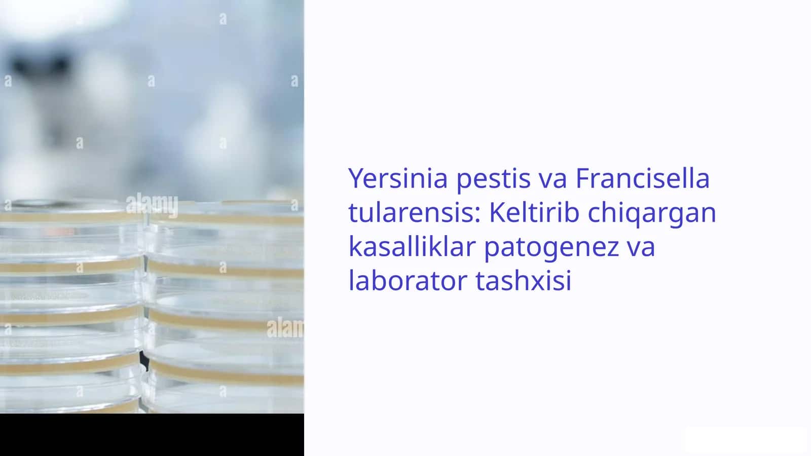 Yersinia pestis va Francisella tularensis: Keltirib chiqqan kasalliklar patogenez va laborator tashxisi 1