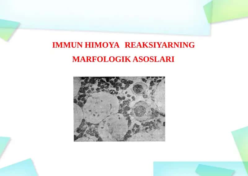 IMMUN HIMOYA 1