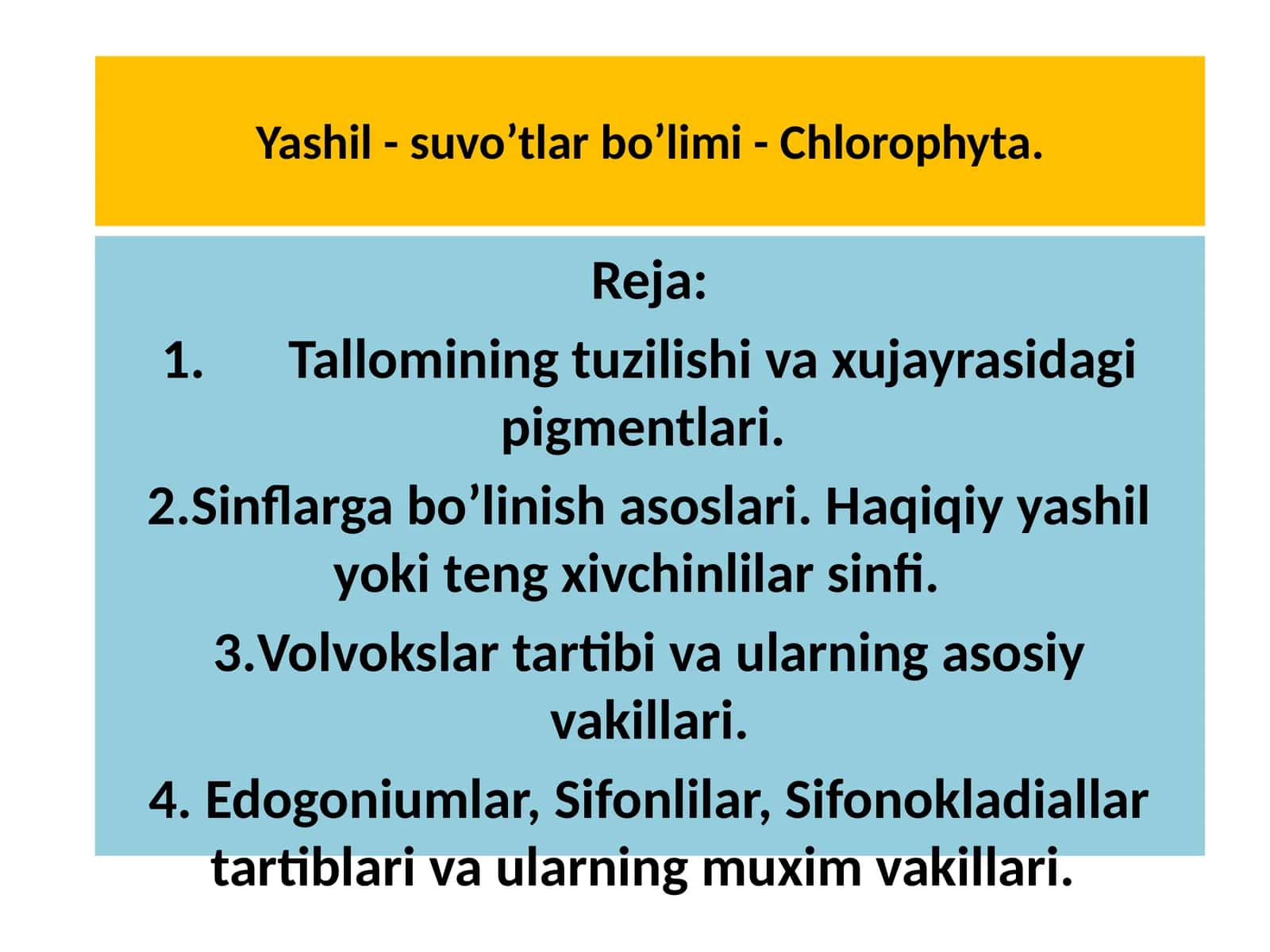 Yashil - suvo’tlarbo’limi- Chlorophyta 1