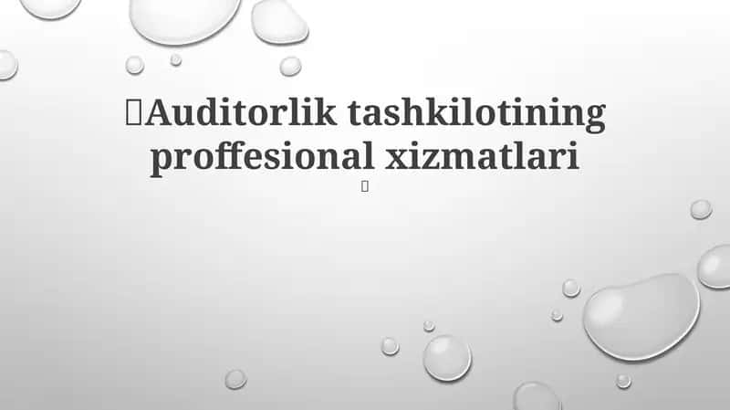Auditorlik tashkilotining proffesional xizmatlari 1