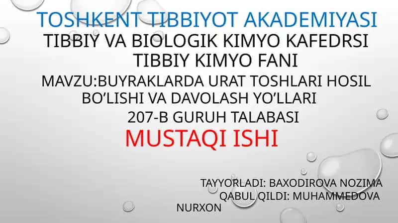 Toshkasalliklarining asosiy turkumlari 1