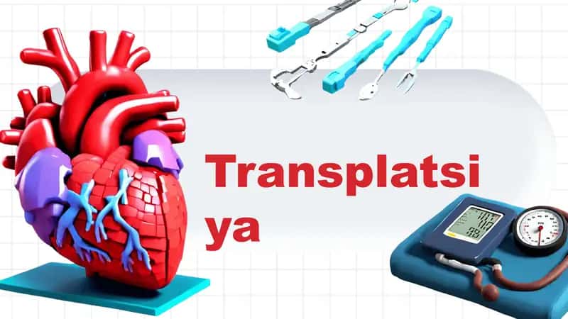 Transplatsiya 1