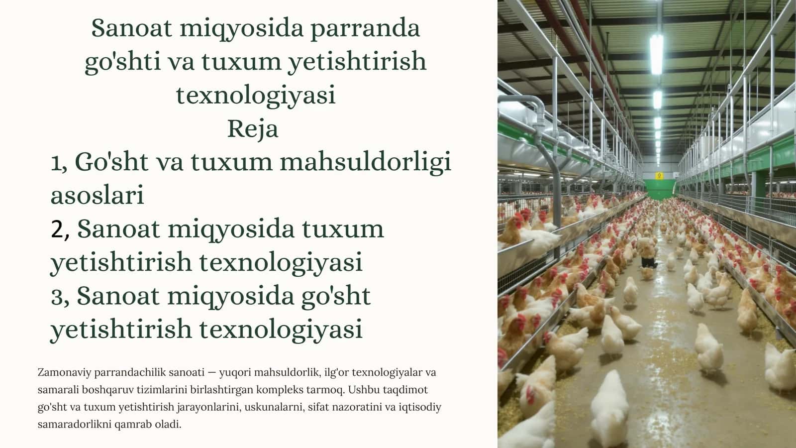 Sanoat miqyosida parranda go'shti va tuxumyetishtirishtexnologiyasi 1