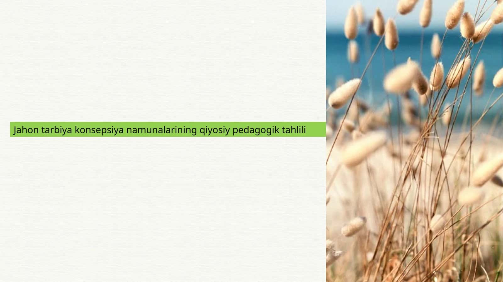 Jahon tarbiya konsepsiya namunalarining qiyosiy pedagogik tahlili 1