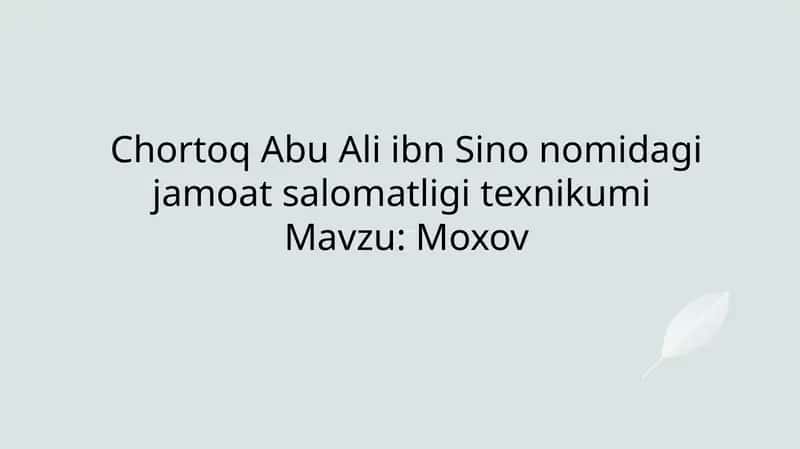 ChortoqAbu Ali ibn Sinonomidagi jamoatsalomatligi texnikumi 1