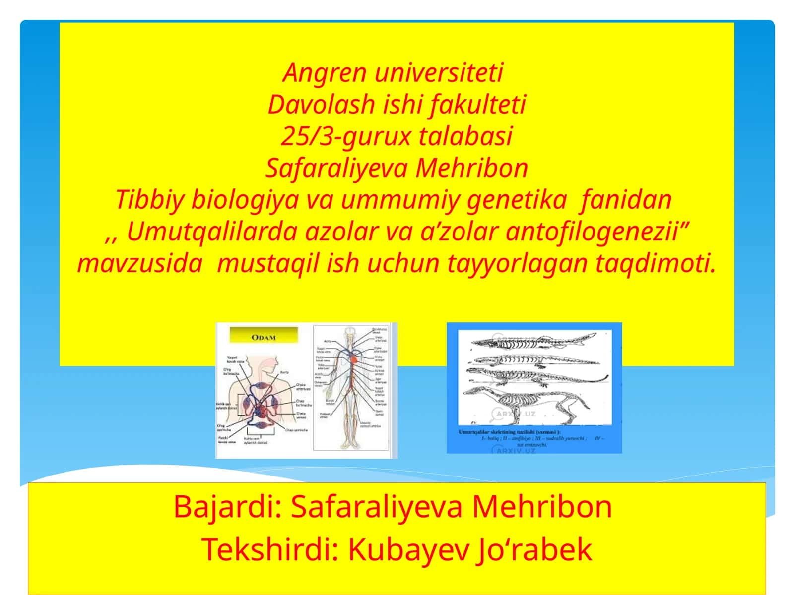 Umutqalilarda azolar va a’zolar antofilogenezii 1