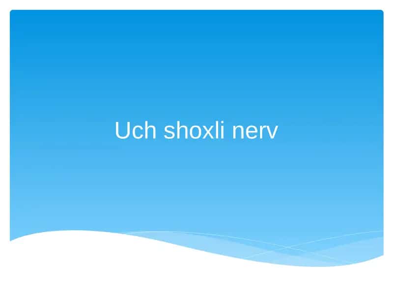 uch shoxli nerv 1