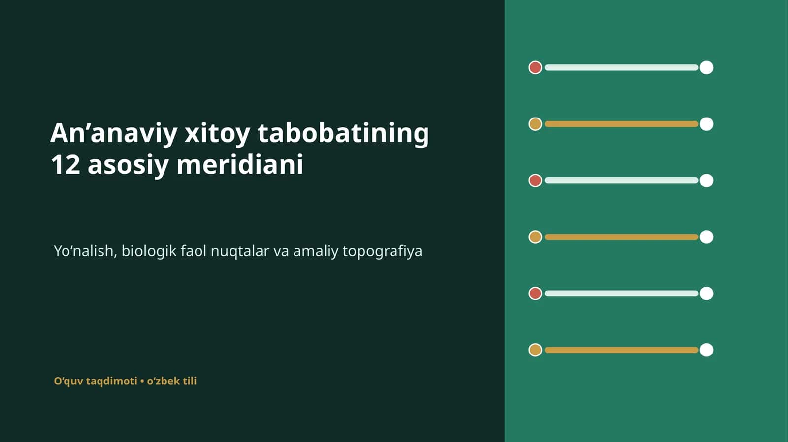 An’anaviy xitoy tabobatining 12 asosiy meridiani 1