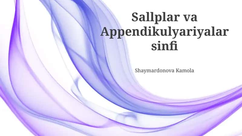 Sallplar va Appendikulyariyalar sinfi 1