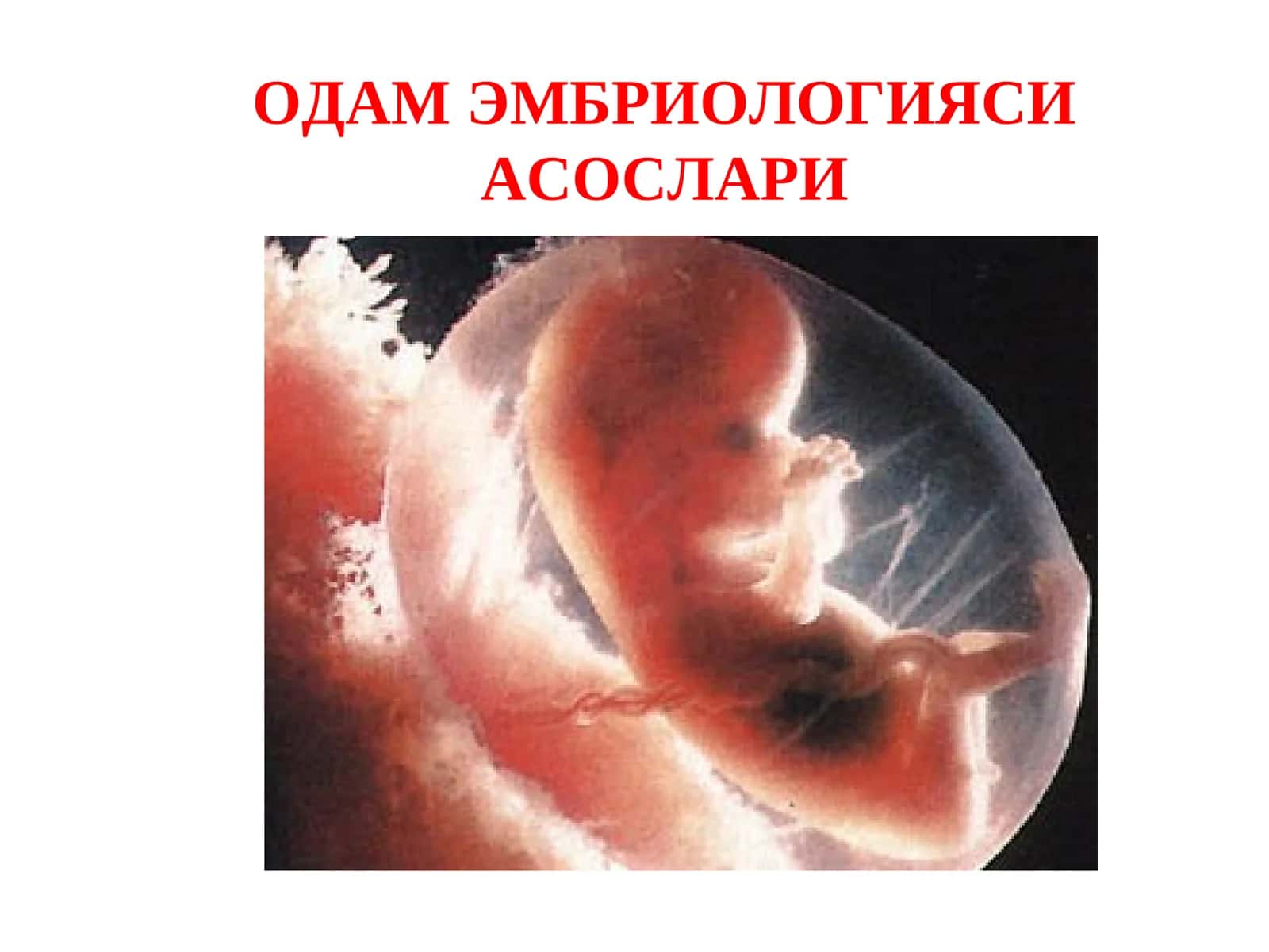 ОДАМ ЭМБРИОЛОГИЯСИ АСОСЛАРИ 1