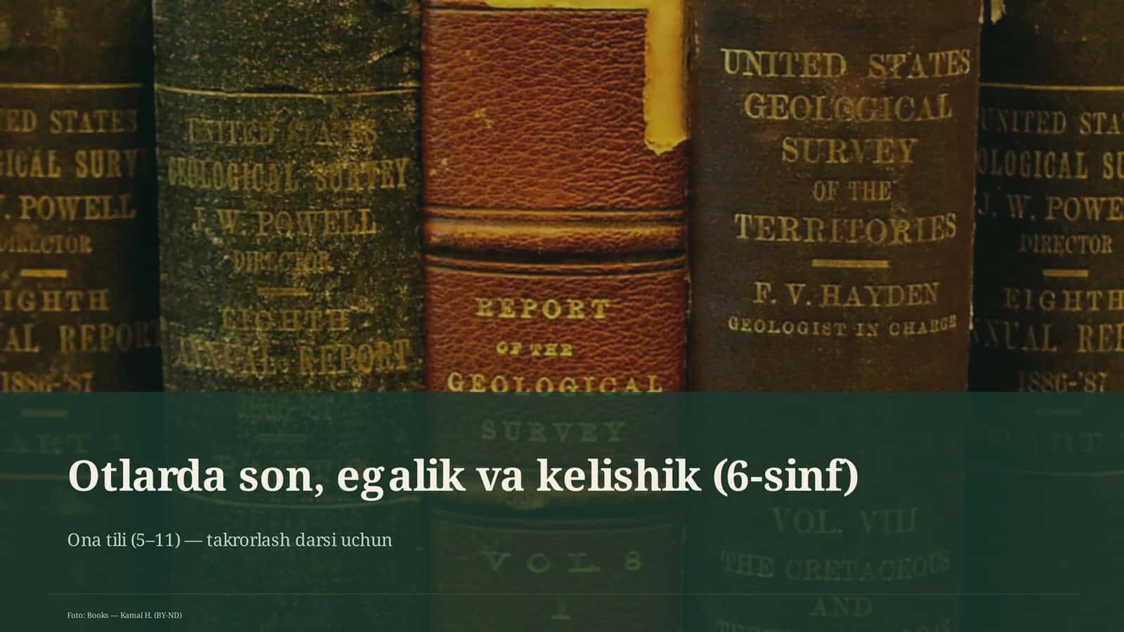 Otlarda son, egalik va kelishik (6-sinf) 1