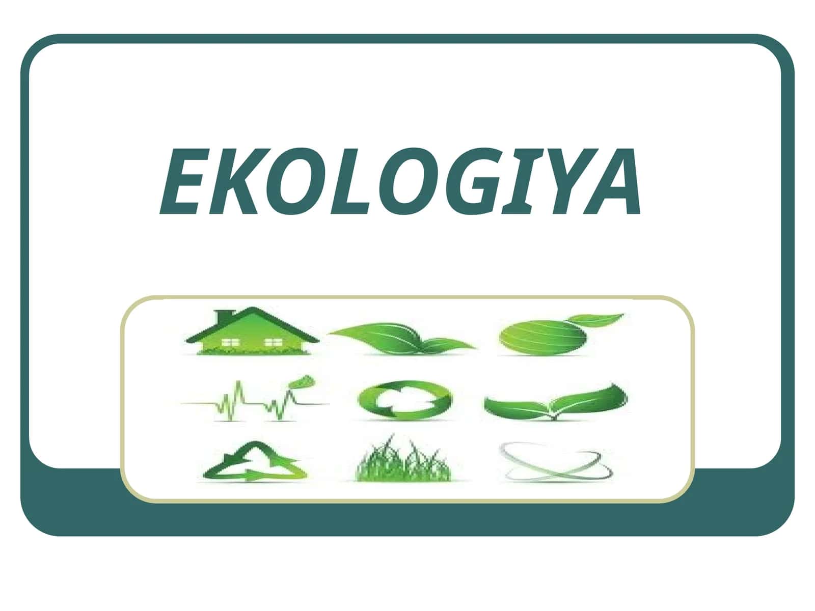 EKOLOGIYA 1