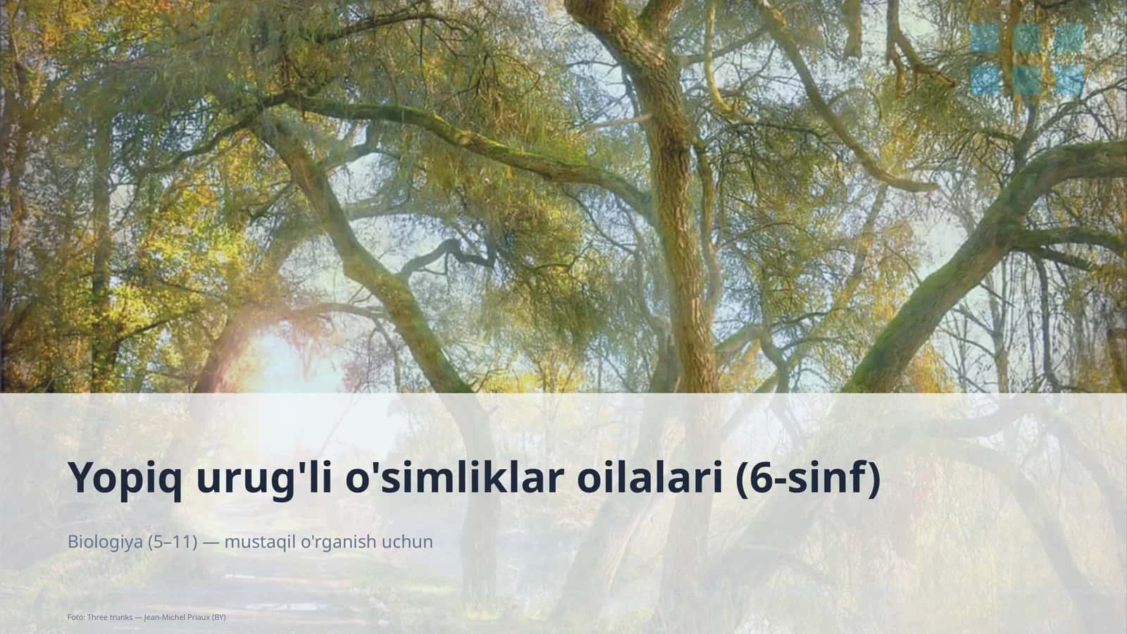 Yopiq urug'li o'simliklar oilalari (6-sinf) 1