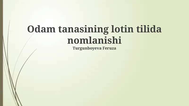 Odam tanasining lotin tilida nomlanishi 1
