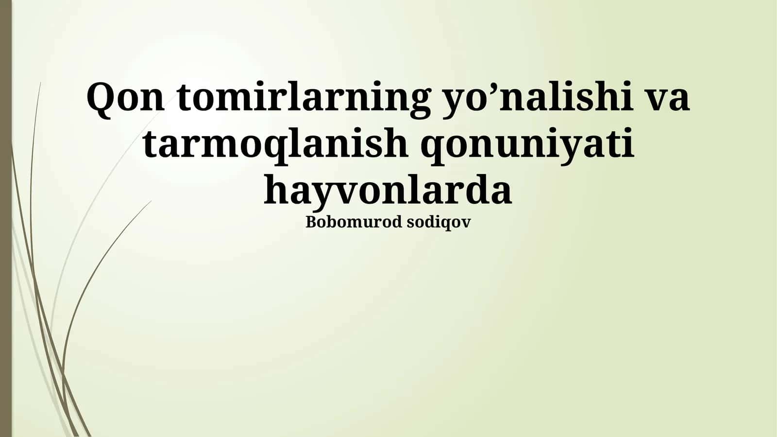 Qon tomirlarning yo’nalishi va tarmoqlanish qonuniyati hayvonlarda 1