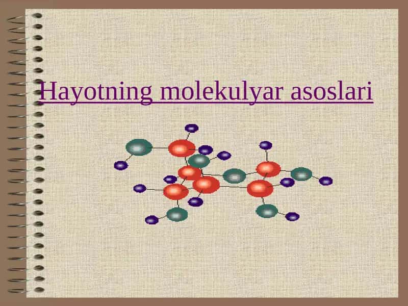 Hаyotning molekulyar asoslari 1