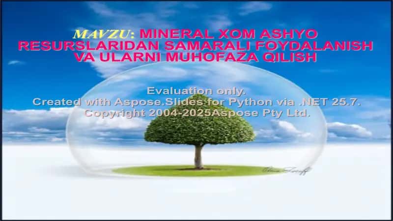 MINERAL XOM ASHYO RESURSLARIDAN SAMARALI FOYDALANISH VA ULARNI MUHOFAZA QILISH 1