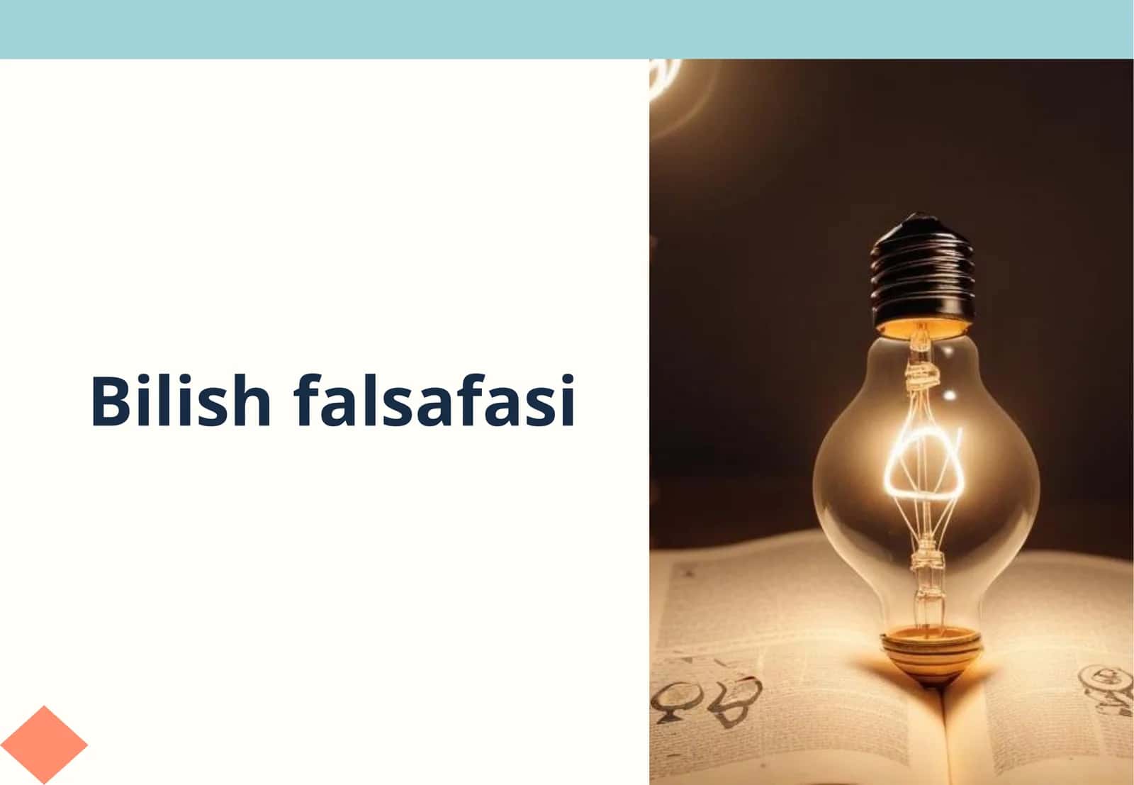 Bilishfalsafasi 1
